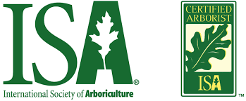 ISA Certified Arborist