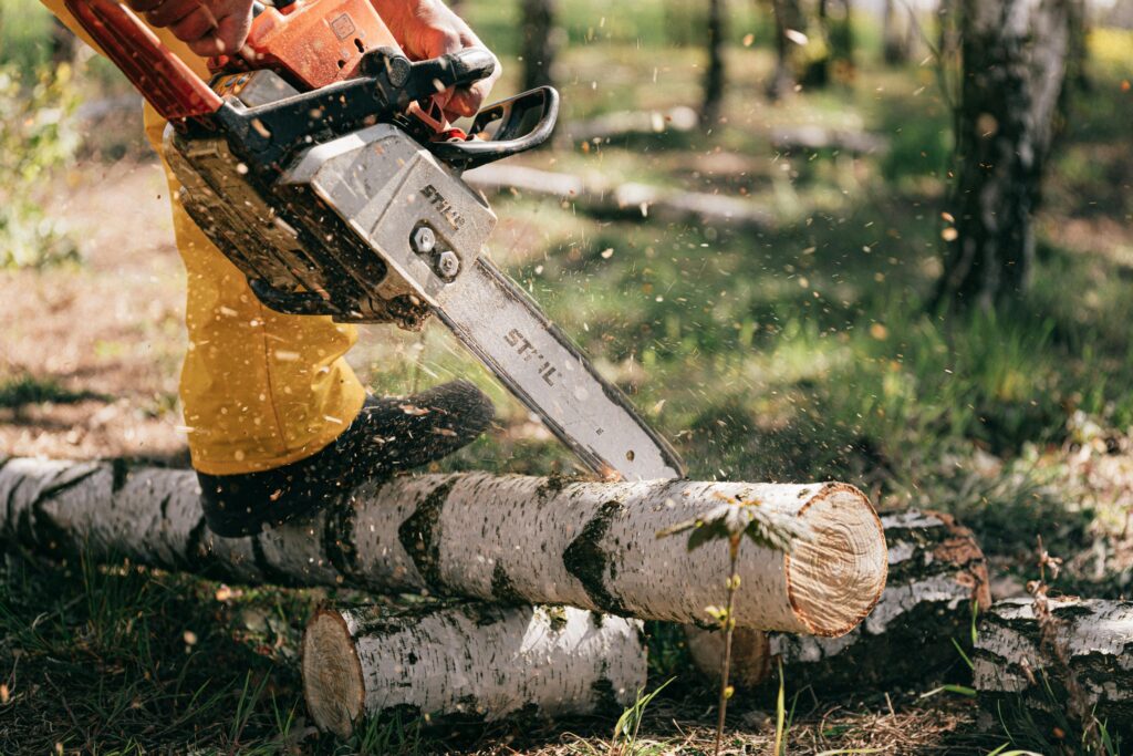 Tree cutting services near me